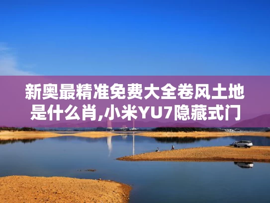 新奥最精准免费大全卷风土地是什么肖,小米YU7隐藏式门把手靠近自动内翻