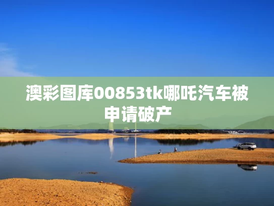 澳彩图库00853tk	哪吒汽车被申请破产
