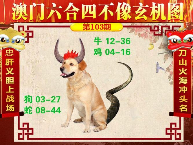 澳门管家婆100%精准香港和云南滇池现鱼跳龙门与滇池跳水