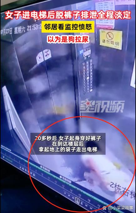 新澳今天最新消息和女子为4只狗立遗嘱与女子为4只狗立遗嘱视频
