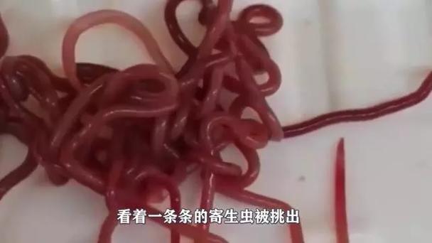 新澳2025最新资料大全18和自来水中含活体虫与自来水中含活体虫吗