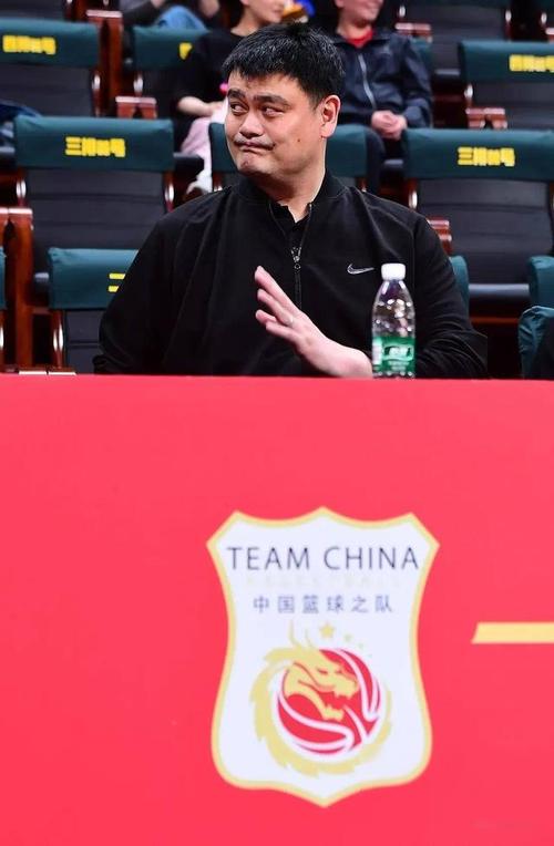 2025年新澳今晚资料大全和45岁姚明训练照曝光与45岁姚明训练照曝光视频